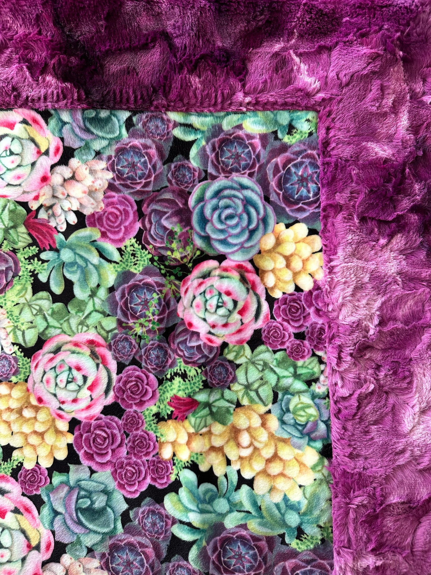 Succulents Peridot on Alex Grapewine Throw/Child/Crib/Baby/Travel Minky Blanket 53x64