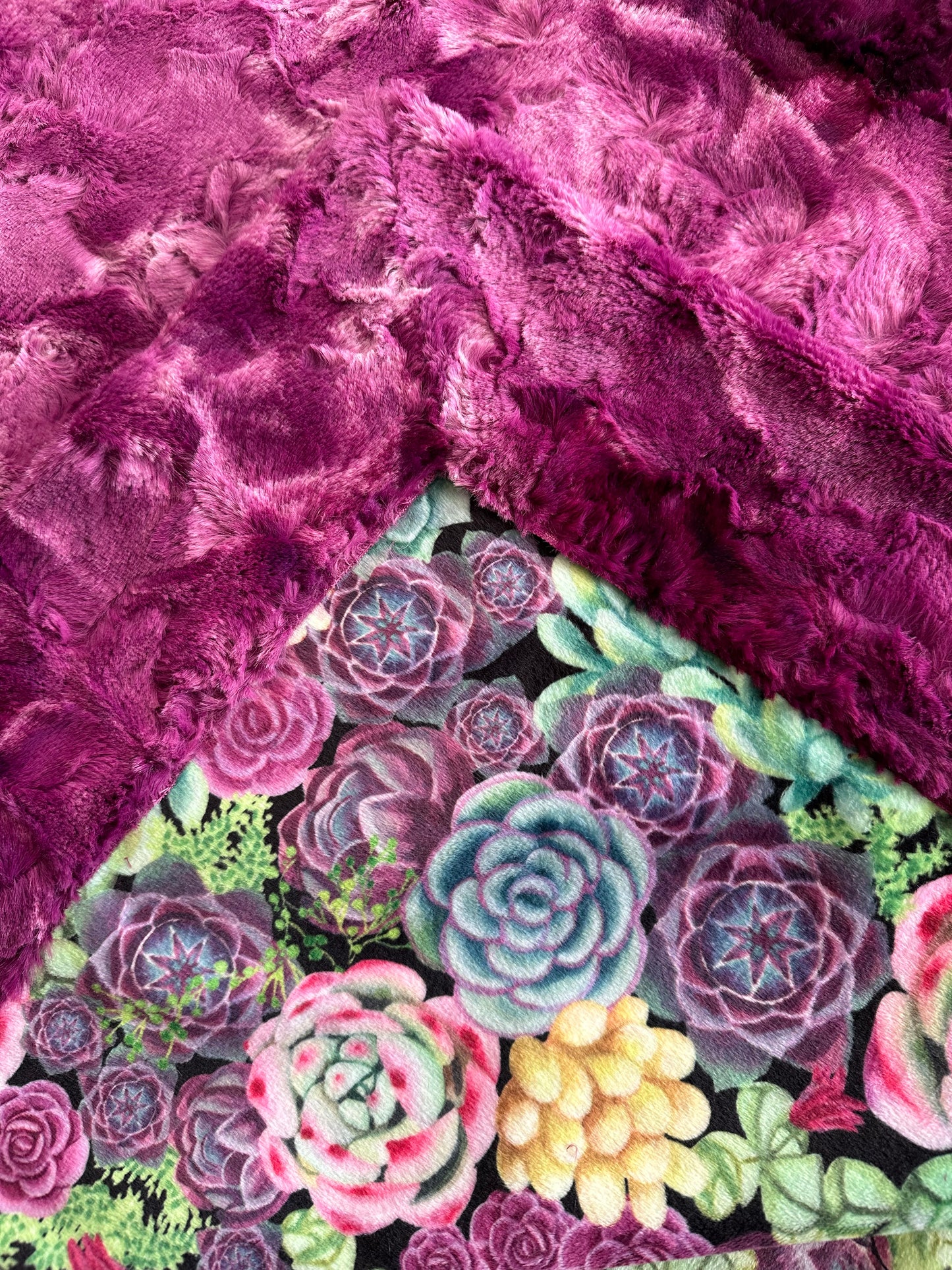 Succulents Peridot on Alex Grapewine Throw/Child/Crib/Baby/Travel Minky Blanket 53x64