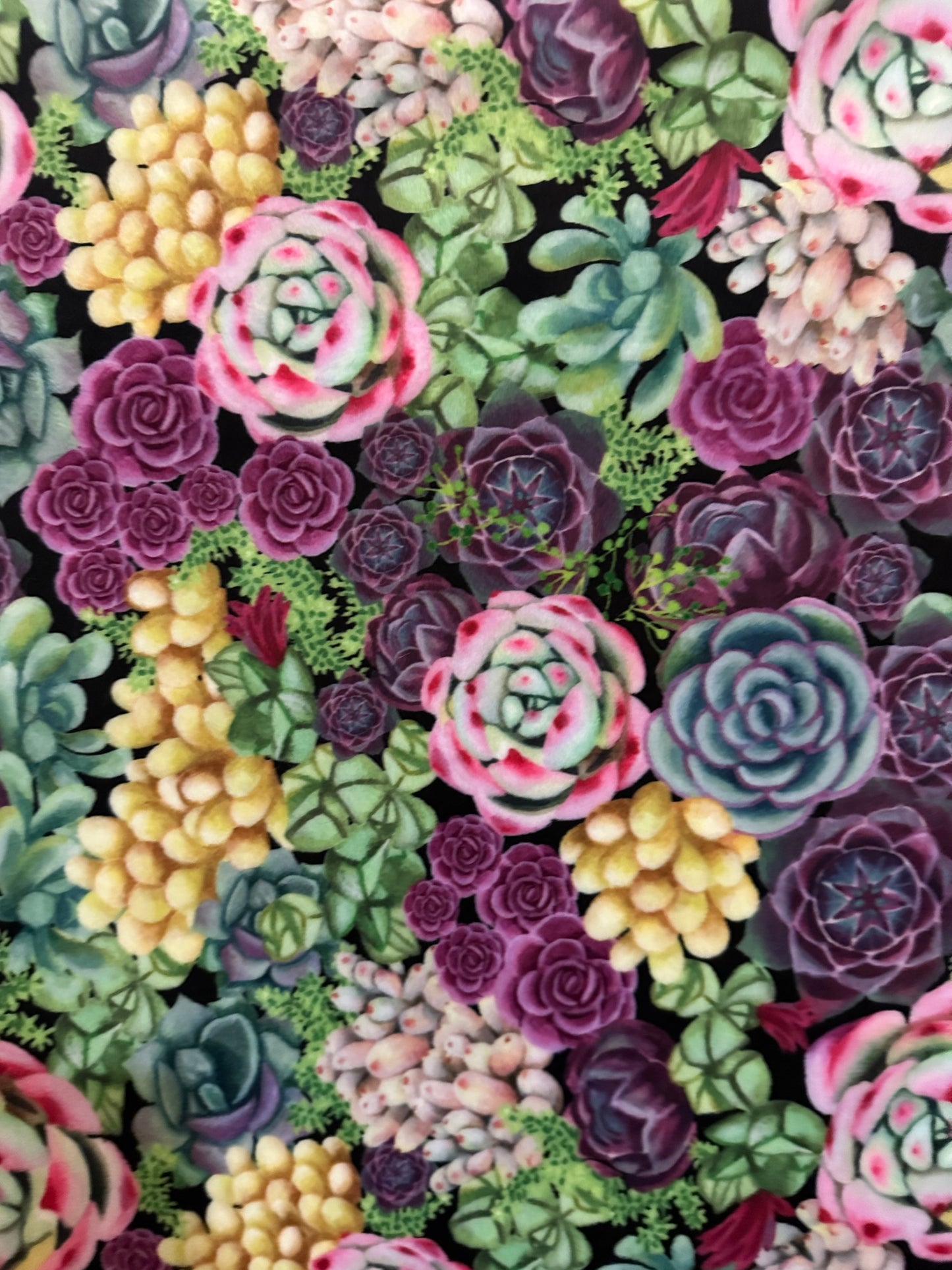 Succulents Peridot on Alex Grapewine Throw/Child/Crib/Baby/Travel Minky Blanket 53x64