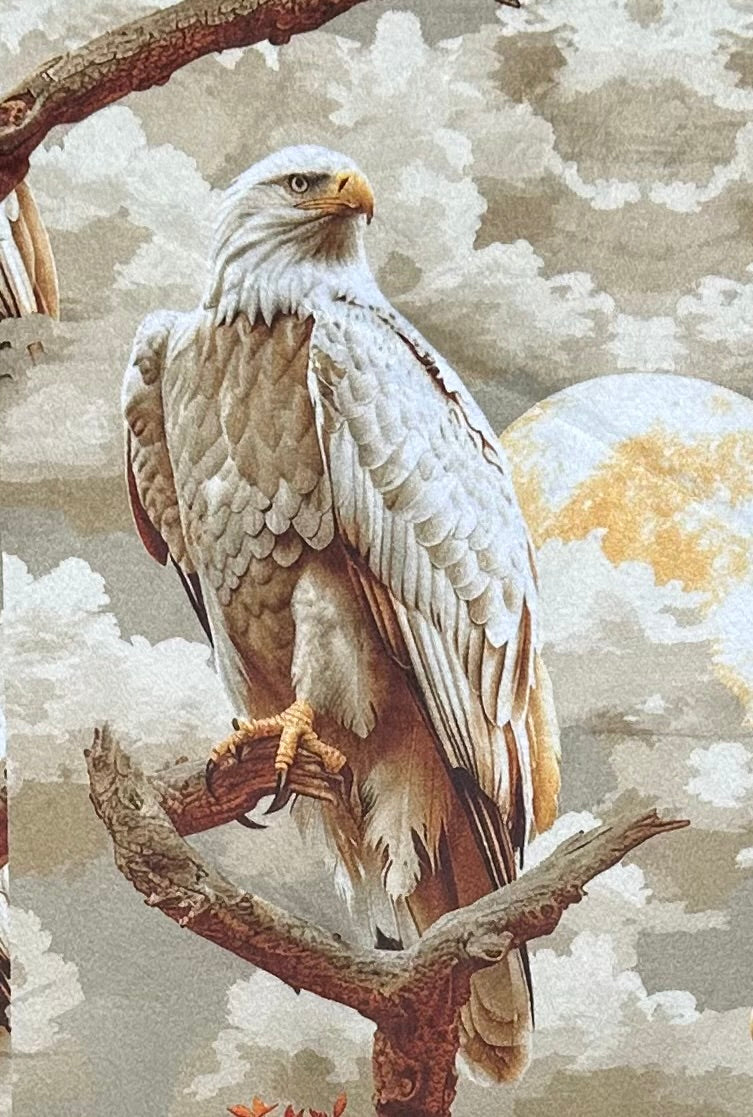 American Bald Eagle on Rusty Copper Luxe Large 57x79 Minky Blanket