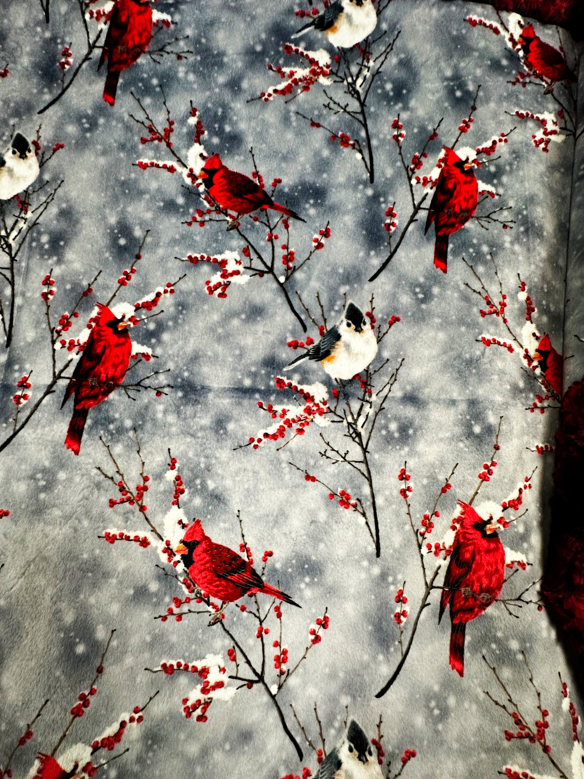 Cardinal Sparrow on Paloma Rocker Adult Large Blanket - Beautiful Home Addition - 55x75
