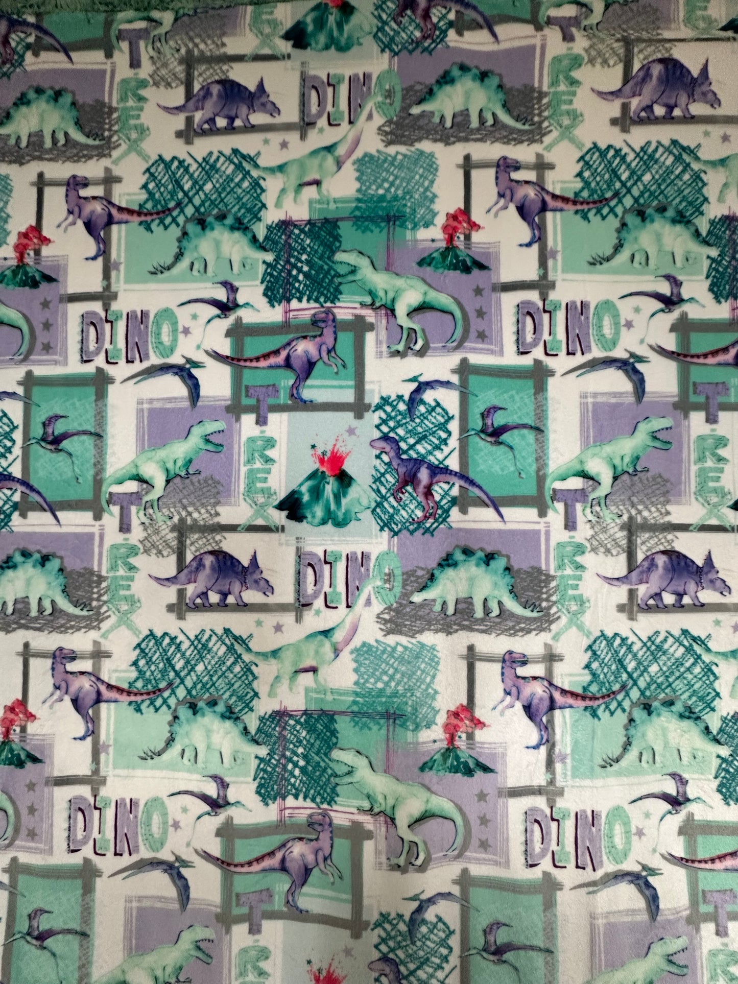 T-Rex Bellflower on Spearmint Galaxy Minky Toddler Blanket - 44x54 with 13x19 Pillowcase for a 12x18 Size Pillow