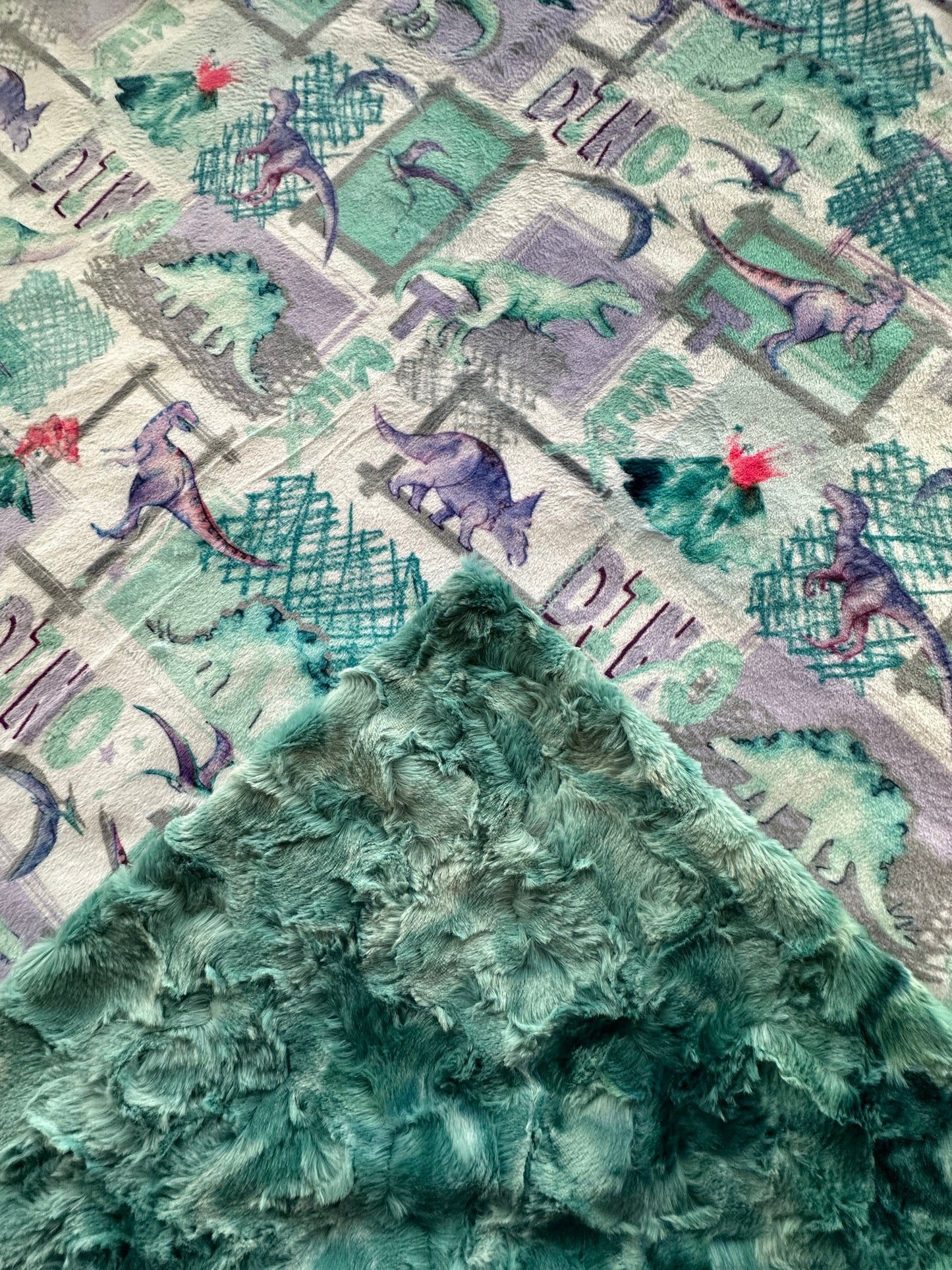 T-Rex Bellflower on Spearmint Galaxy Minky Toddler Blanket - 44x54 with 13x19 Pillowcase for a 12x18 Size Pillow