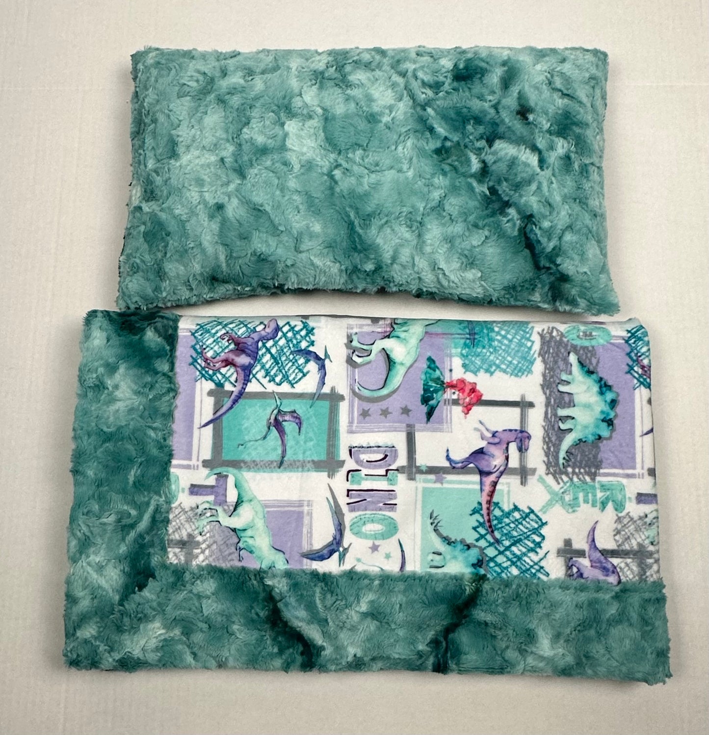 T-Rex Bellflower on Spearmint Galaxy Minky Toddler Blanket - 44x54 with 13x19 Pillowcase for a 12x18 Size Pillow