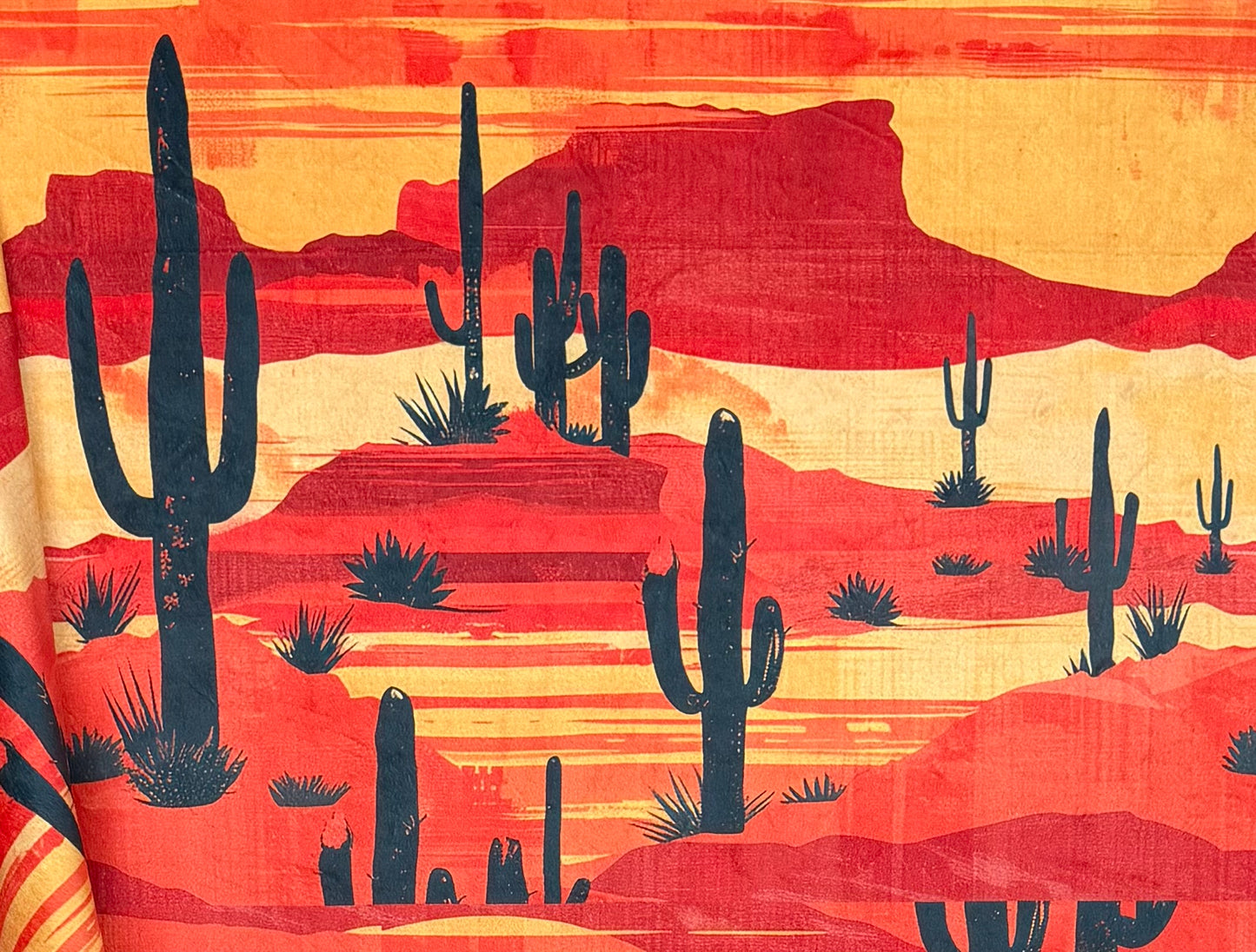 Arizona Landscape on Brown Luxe Large 59x79 Minky Blanket