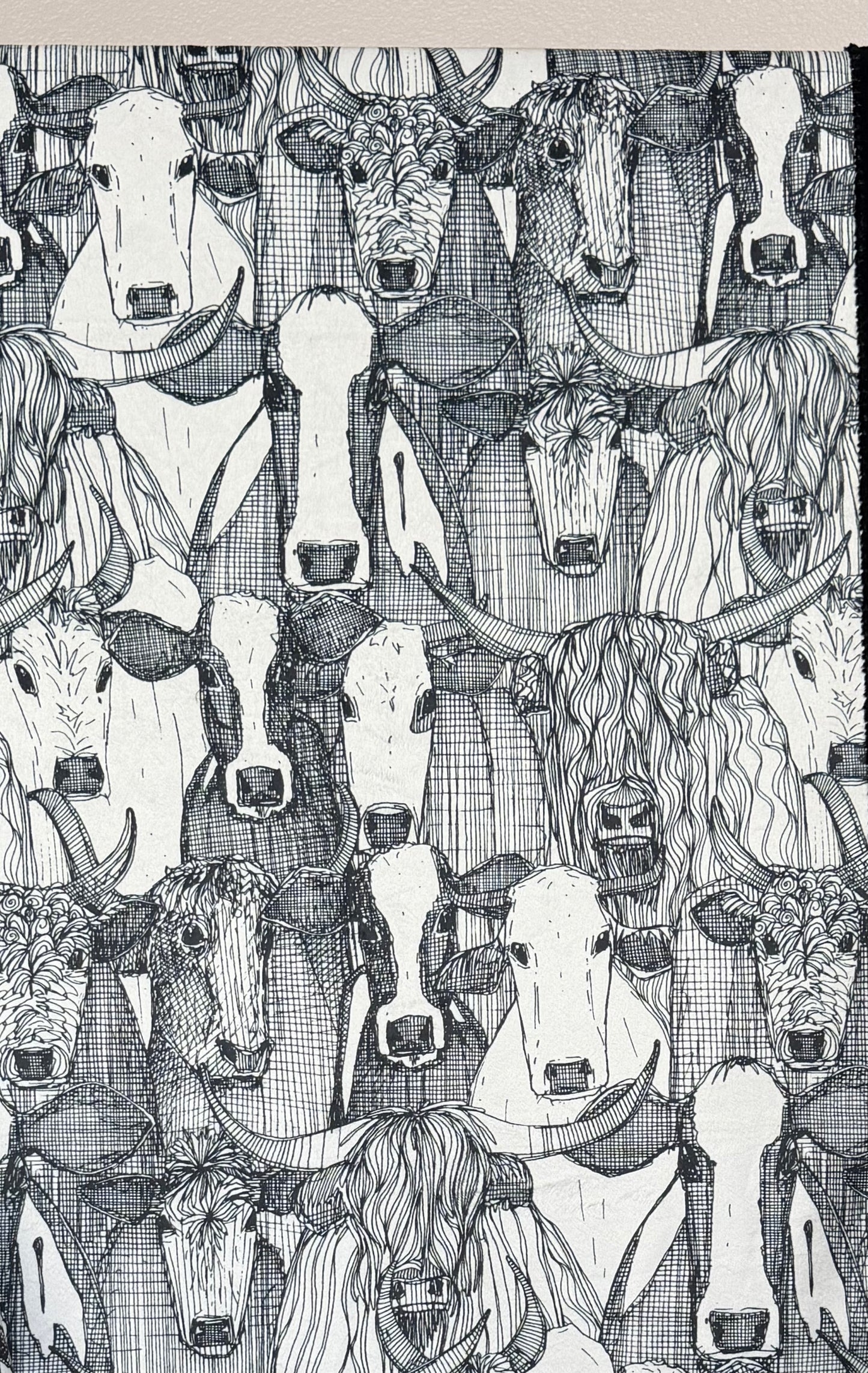 Cows on Black Luxe Large 55x79 Minky Blanket