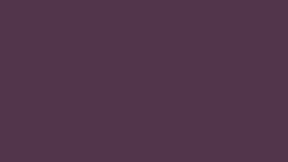 Rose and Chain on Merlot Luxe Large 56x80 Minky Blanket